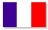 French Tricolor National Flag