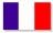 French Tricolor National Flag